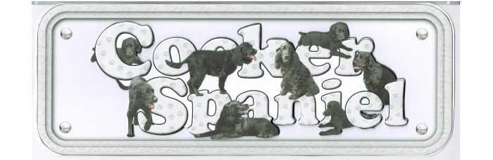 Cocker Spaniel - black